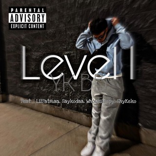 Level 1