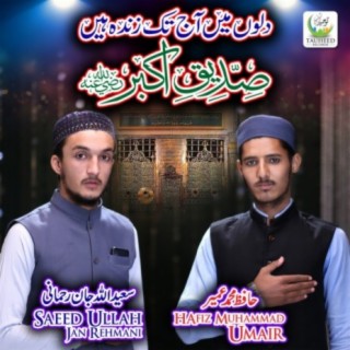 Hafiz Muhammad Umair