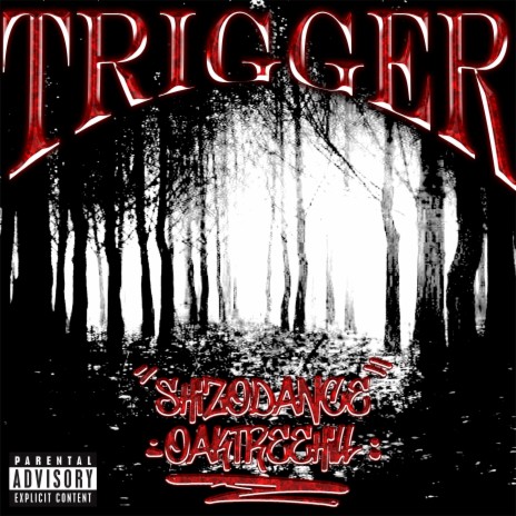 TRIGGER ft. SHIZODANCE cover art