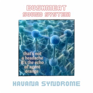 Bushmeat Sound