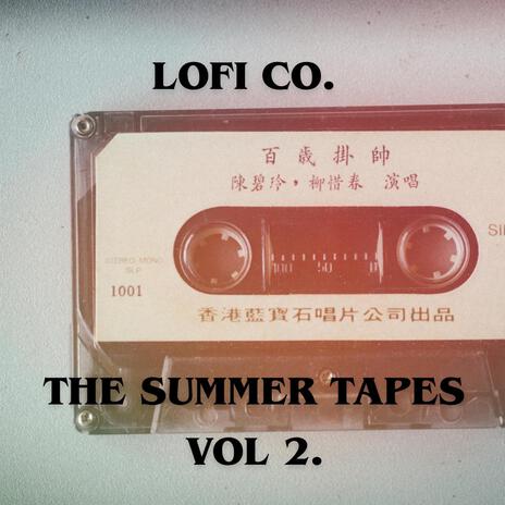 Polaroid Loop Tape cover art
