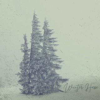 Winter Haze
