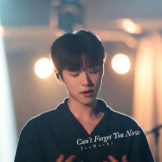 Can't Forget You Now