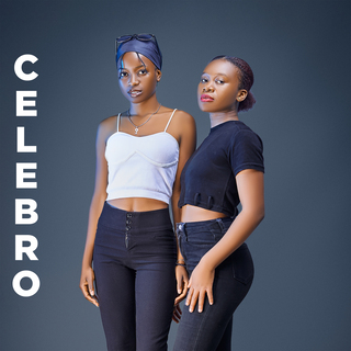 Celebro cover art