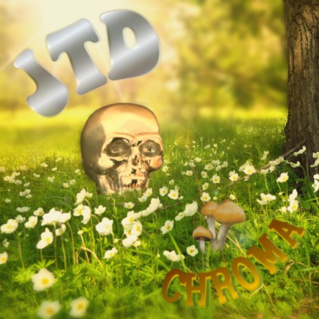 Chroma cover art