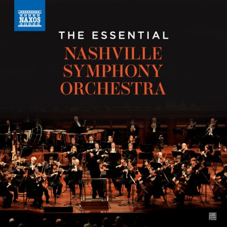 The Palmian Chord Ryddle: II. Iberia ft. Nashville Symphony Orchestra & Giancarlo Guerrero cover art
