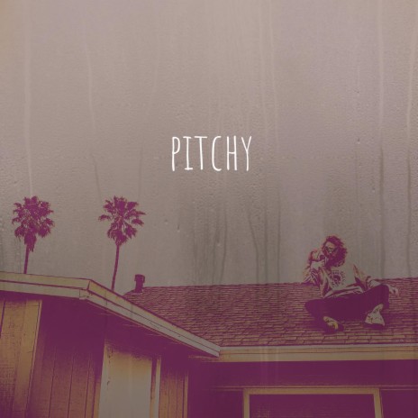 On the Beach in a Hammock cover art