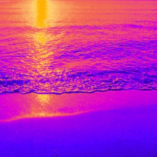 Shores of Tranquility cover art