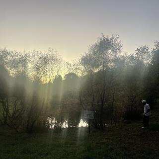 meadow music