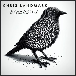 Blackbird cover art