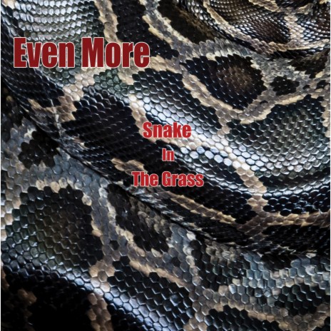 Snake In The Grass (Rust Of Star Version) cover art