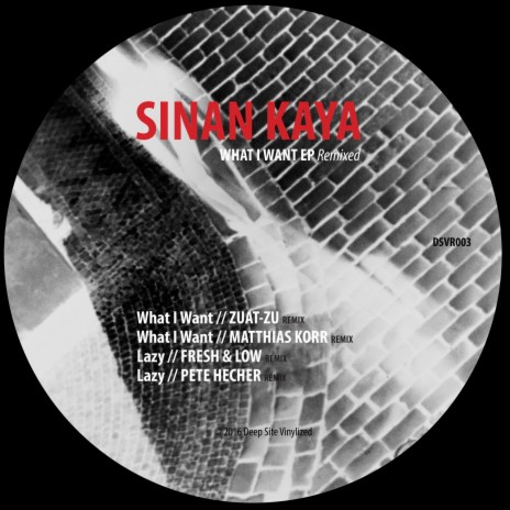 What I Want (Matthias Korr Remix)
