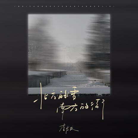 北方的雪南方的街 cover art