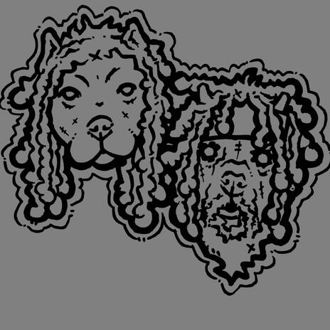 Spittems cover art