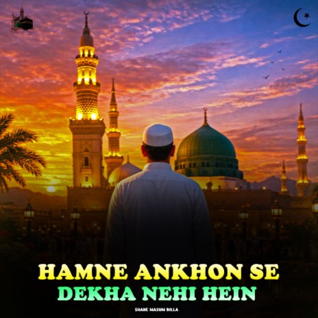 Hamne Ankon Se Dekha Nehi Hain cover art