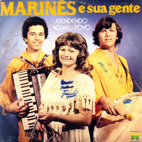 Vou levando a vida cover art