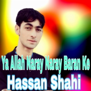 Hassan Shahi
