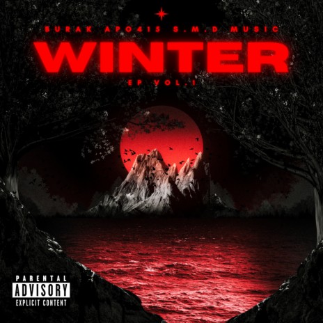 Vision ft. APO415 & S.M.D Music cover art