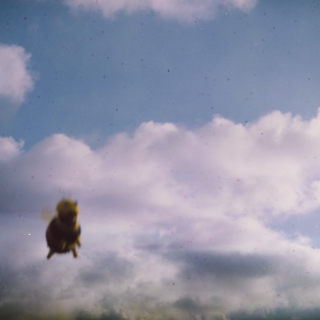 (I'm) Stung cover art