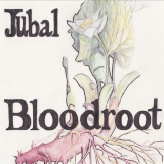 Bloodroot