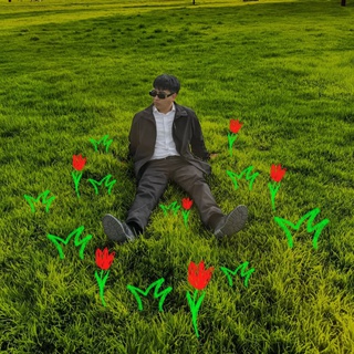 Los Primeros Tulipanes