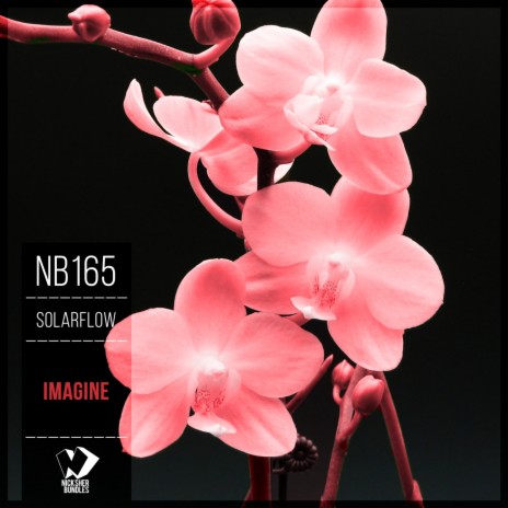Adicted to You (Original Mix) cover art