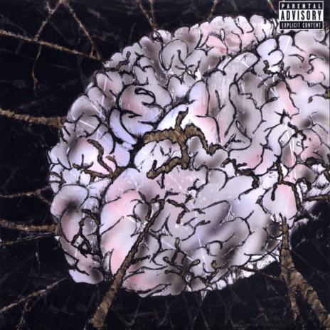 My Complex cover art
