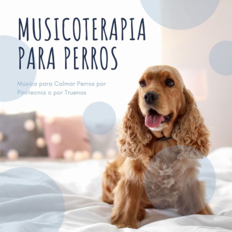 Calmar Perros por Pirotecnia cover art