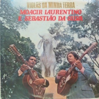 Moacir Laurentino