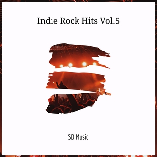 Indie Rock Hits, Vol. 5