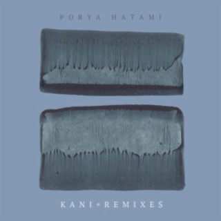 Porya Hatami