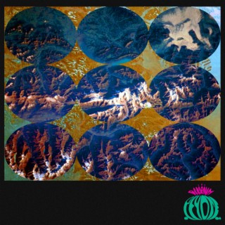 Camarón Song (Extended Mix) ft. Delirium Peyote cover art