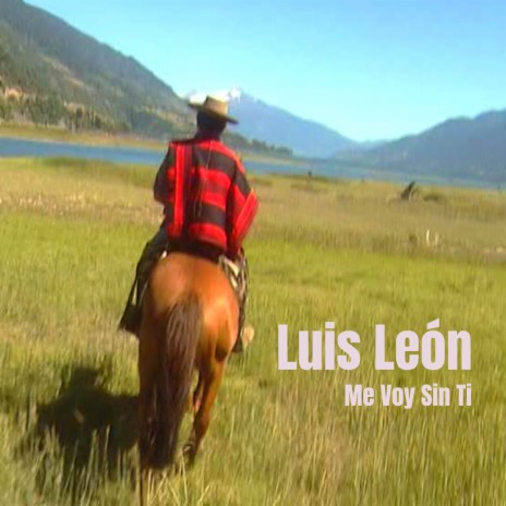 Me Voy Sin Ti cover art