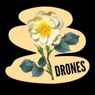 DRONES