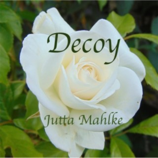 Decoy