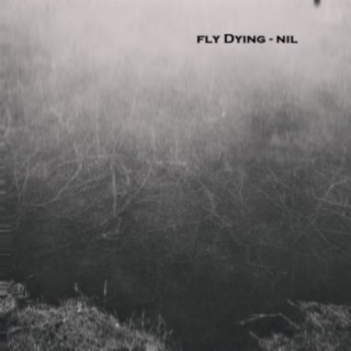 Fly Dying