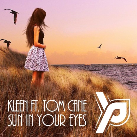 Sun in Your Eyes (feat. Tom Cane) cover art