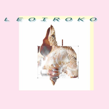 Seashells cover art