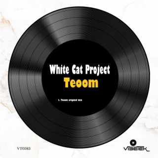 Teoom (original mix) cover art