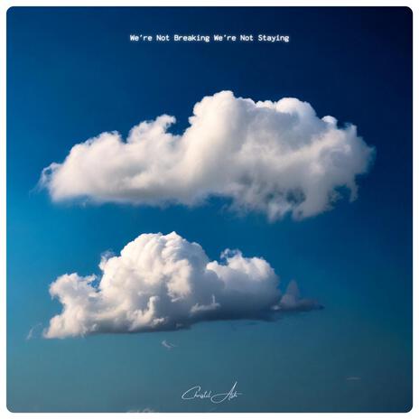 We're Not Breaking We're Not Staying cover art