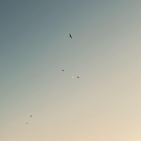 Splish cover art