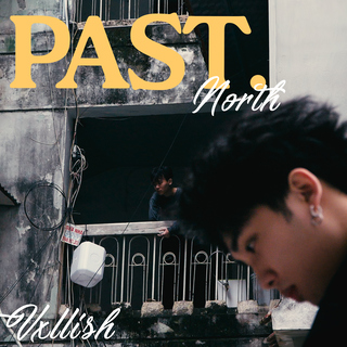 PAST ft. Vxllish cover art