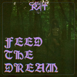 Feed The Dream cover art
