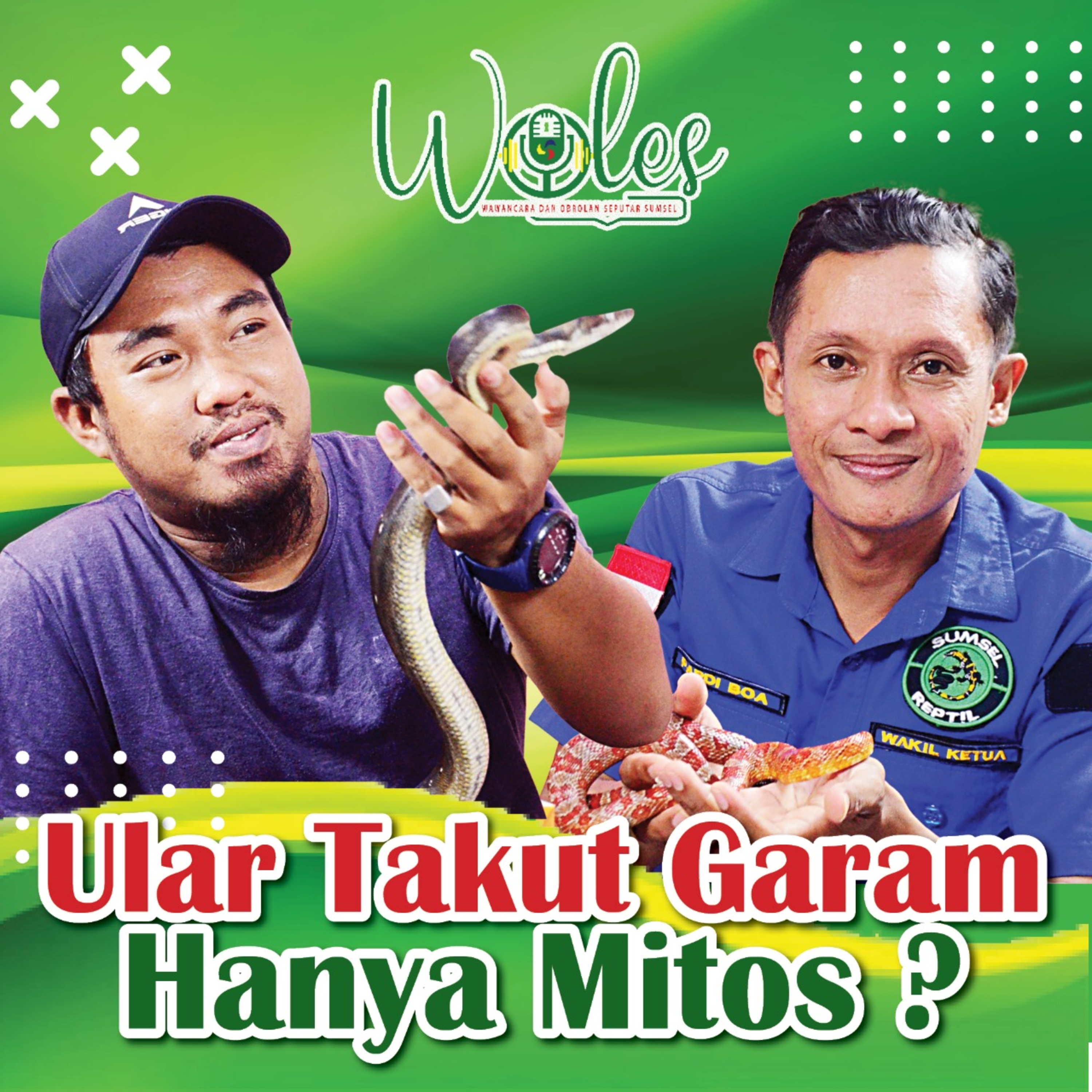Ular Takut Garam Hanya Mitos ? cover art