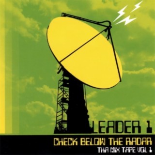Check Below The Radar, Vol. I