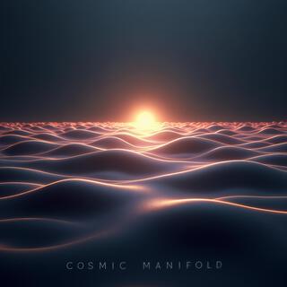 Cosmic Manifold