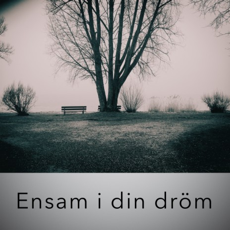 Ensam i din dröm ft. Lys cover art
