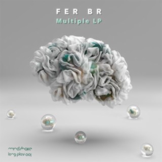 Fer BR