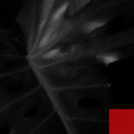 Agreeable cover art