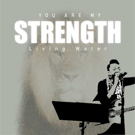 You Are My Strength cover art